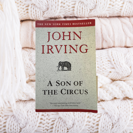 A Son Of The Circus - John Irving