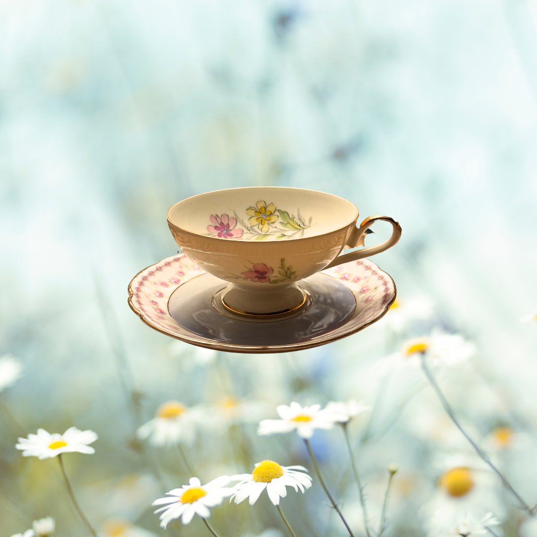 Bavaria Germany Vintage Tea Cup & Saucer