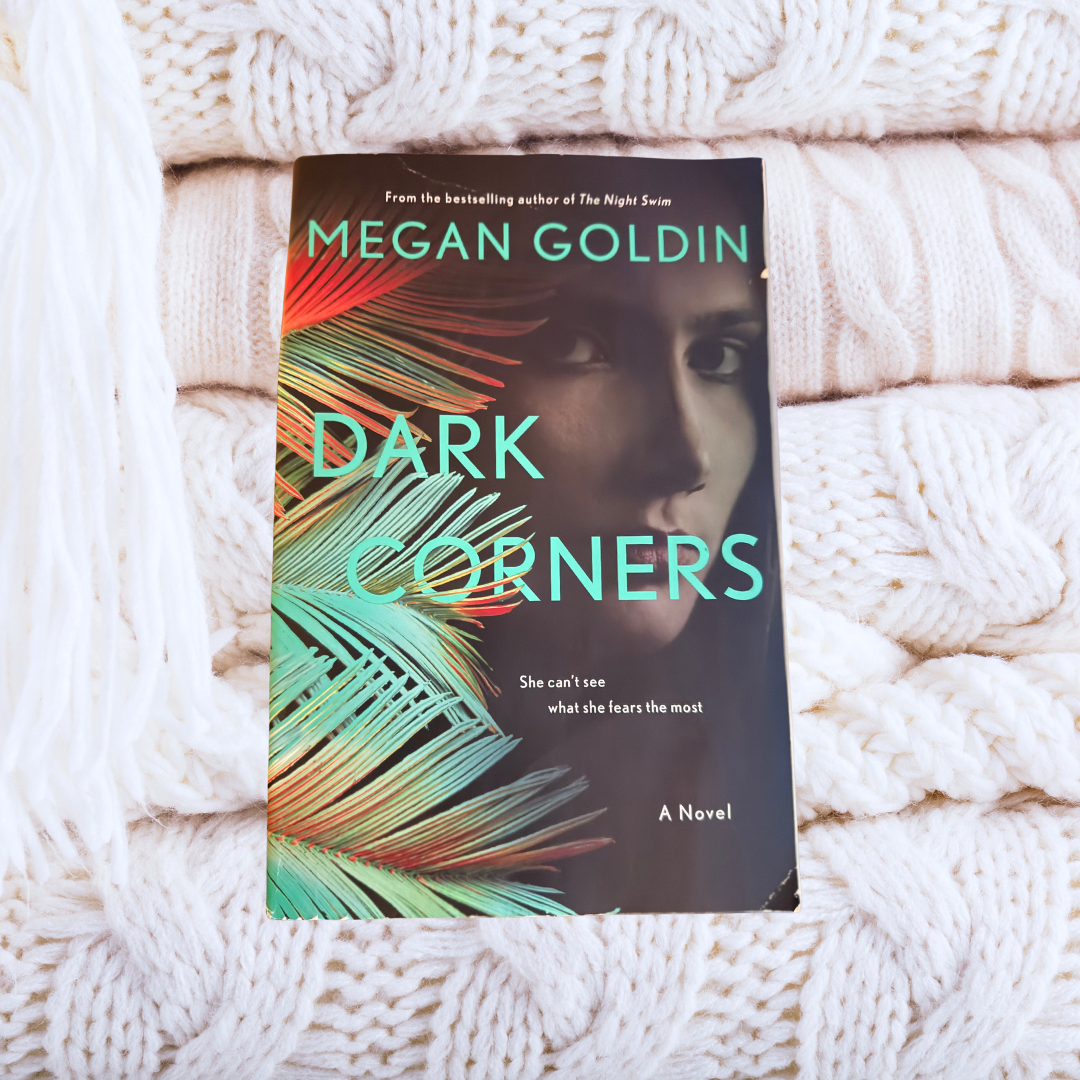 Dark Corners - Megan Goldin