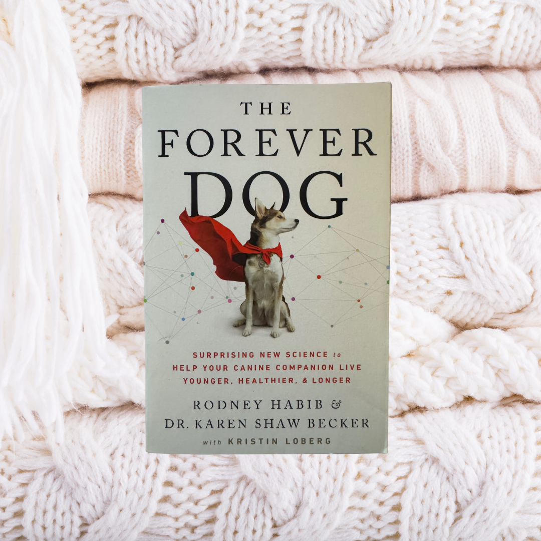 The Forever Dog - Rodney Habib & Dr. Karen Shaw Becker